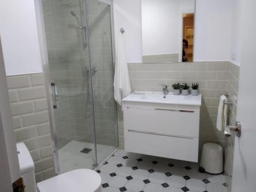 y baño con ducha, lavabo y aseo. en Apartamento Lula, en Santiago de Compostela
