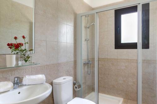 a bathroom with a shower and a toilet and a sink at Villa Pashiana in Polis Chrysochous