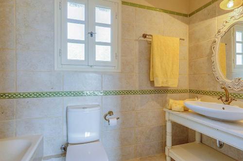 a bathroom with a toilet and a sink at Villa Nikolas in Andipáta Erísou
