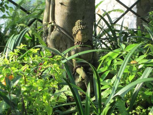 Giardino di The Begnas Lake Resort & Villas