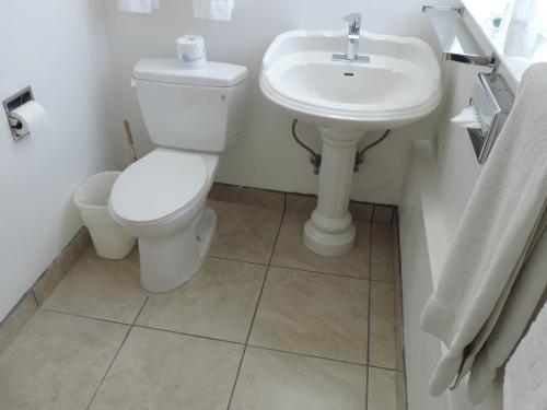 a bathroom with a toilet and a sink at Cambria Palms Motel in Cambria