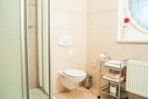 a small bathroom with a toilet and a shower at Villa A. Malka in Poděbrady