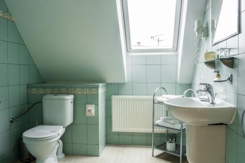 a bathroom with a toilet and a sink at Villa A. Malka in Poděbrady