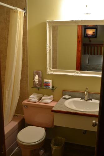 a bathroom with a toilet and a sink and a mirror at North Star Motel in Kimberley