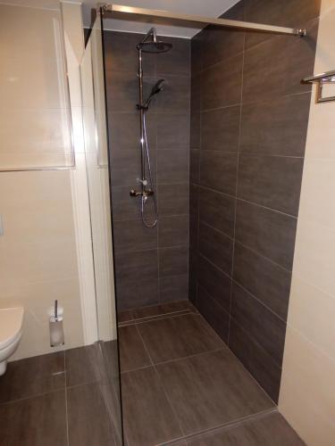 a shower with a glass door in a bathroom at OtavArena in Písek