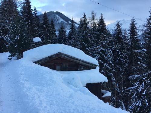 a pile of snow on the roof of a cabin at Anna's Appartement in Alpbach
