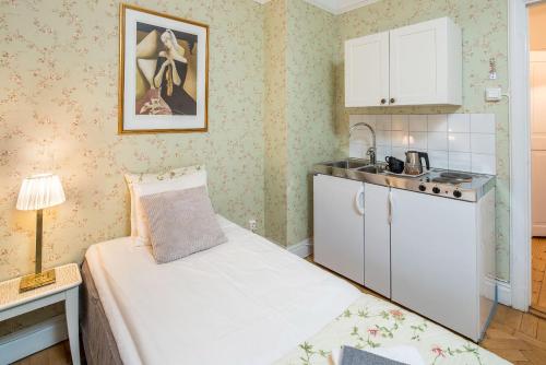 Kuchyň nebo kuchyňský kout v ubytování Wasa Park Hotel