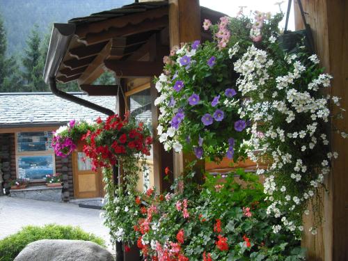 CAMPING CIMAPIAZZI – Photos 5