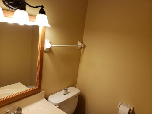 a bathroom with a sink and a mirror and a toilet at Cozy and Spacious-4 Bedrooms Townhouse in Lexington