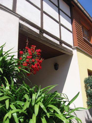 a flower pot on the side of a building at Pension Kastanienhof in Zeulenroda