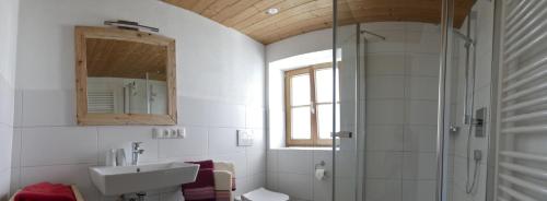 ein Bad mit einer Dusche, einem Waschbecken und einem Spiegel in der Unterkunft Ferienwohnung Mathias Kennerknecht in Fischen im Allgäu