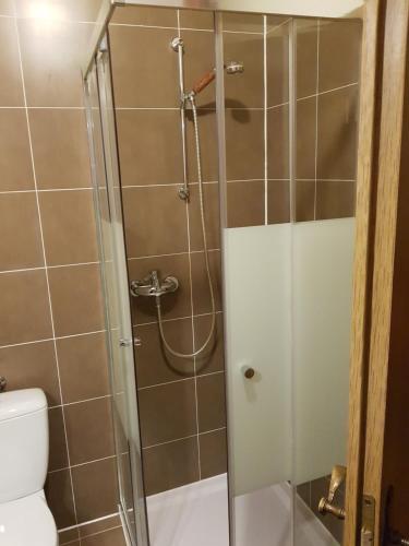 a shower with a glass door next to a toilet at Pension-Puttlachtal in Pottenstein