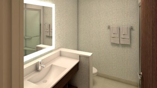 a bathroom with a sink and a toilet and a mirror at Holiday Inn Express & Suites - Phoenix - Airport North by IHG in Phoenix
