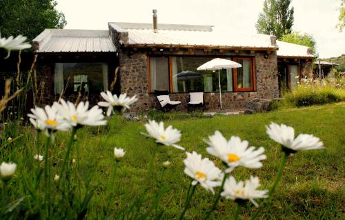 ein Haus mit weißen Blumen davor in der Unterkunft Casa de Piedra in Potrerillos