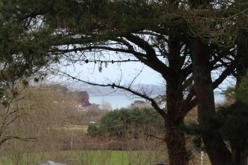 a tree with a field and a house in the background at 3 Bed Static Caravan @ Hoburne Devon Bay in Paignton