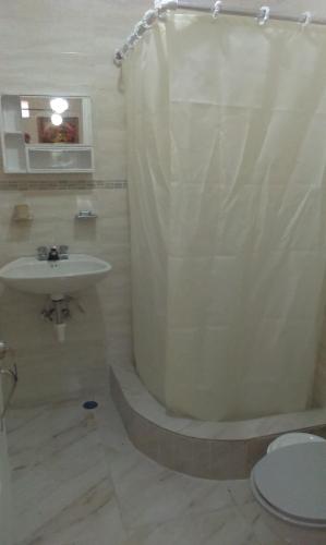a bathroom with a shower and a sink and a toilet at Dre Broeders Apartments Juan Dolio in Juan Dolio