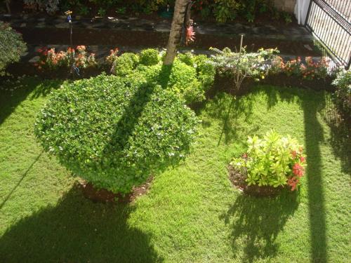 a garden with plants and flowers on the grass at Dre Broeders Apartments Juan Dolio in Juan Dolio