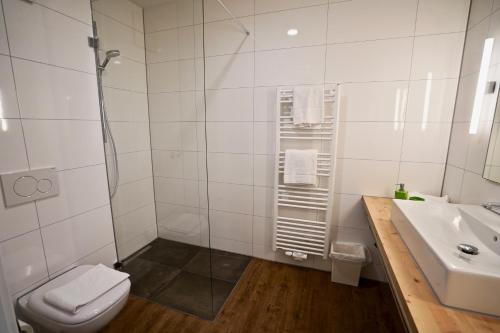 a white bathroom with a toilet and a sink at Busses Guesthouse in Freiburg im Breisgau