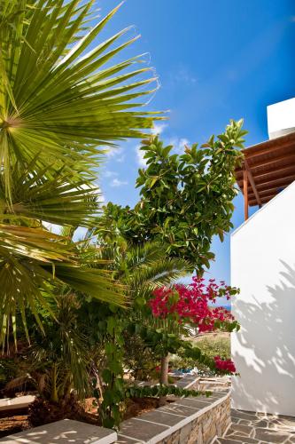 a garden with pink flowers and palm trees at Hermes-Ios Rooms To Let in Ios Chora