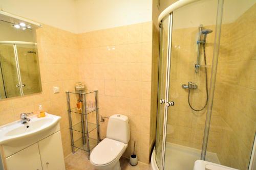 a bathroom with a shower and a toilet and a sink at ApartamentyPrzyMorzu Zielone Tarasy in Kołobrzeg