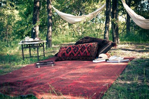 Gallery image of Royal Chundu Island Lodge in Livingstone