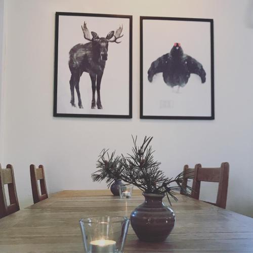 Fotografie z fotogalerie ubytování STF Sälen Torgåsgården v destinaci Lima