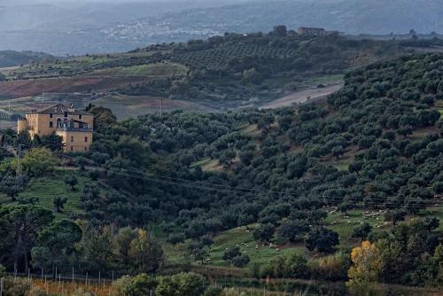 a house on top of a hill with trees at Castello di Serragiumenta in Firmo