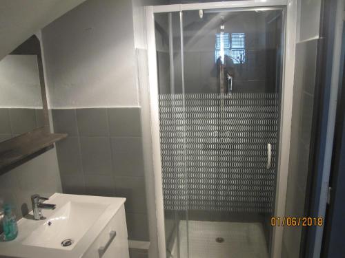 een badkamer met een douche en een wastafel bij La Rose des Vents in Saint-Bonnet-en-Champsaur