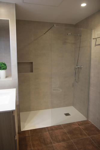 a shower with a glass door in a bathroom at Apartamento Erdi Kale in Azpeitia