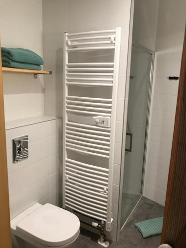 une petite salle de bain avec toilettes et douche dans l'établissement les Gîtes de la limonaderie, à Strasbourg