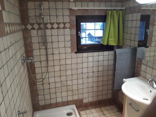 a bathroom with a shower and a toilet and a sink at Ferienhaus Schnider in Galgenul
