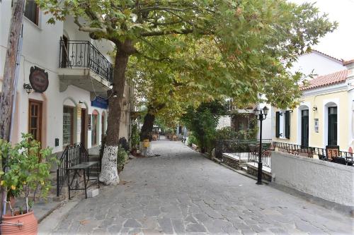 an empty street with a tree and buildings at Christos Raches traditional houses in Raches