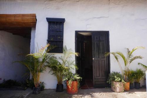 a house with plants in front of a door at El Yarumo Hostel in Bogotá