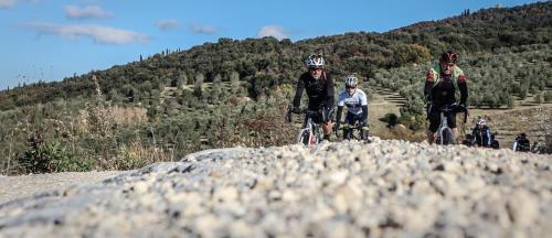 B&B Il Molinello – Photos 3