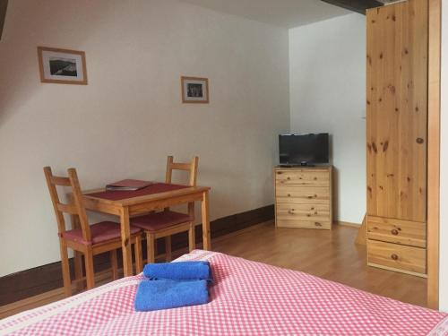 a bedroom with a desk and a table and a bed at Penzion u Vodopádu in Karlova Studánka
