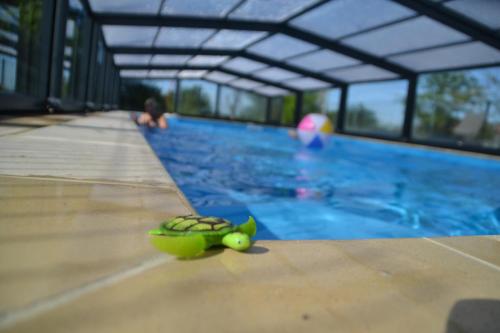 Bassein majutusasutuses Alaguyauder la chambre või selle lähedal