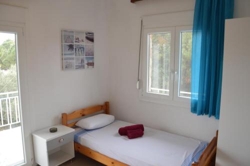 1 Schlafzimmer mit 2 Betten und einem Fenster in der Unterkunft Noula Rooms in Makrýgialos