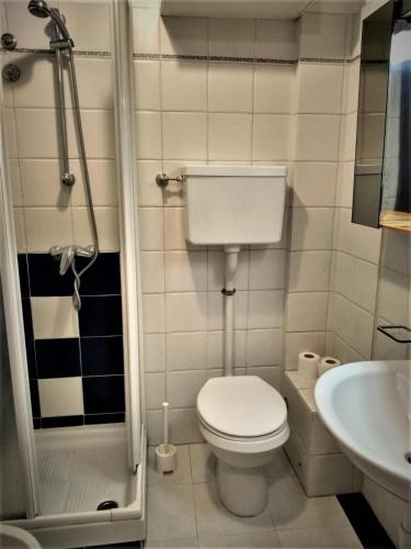 een kleine badkamer met een toilet en een wastafel bij Appartamento Holiday cir 0050 in Saint Vincent