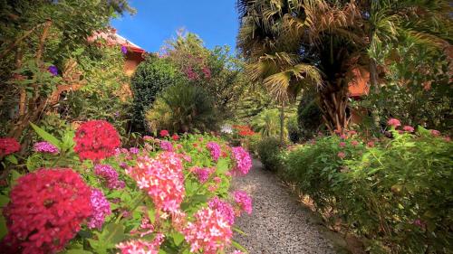a garden with pink and red flowers and palm trees at Boquete Garden Inn in Boquete