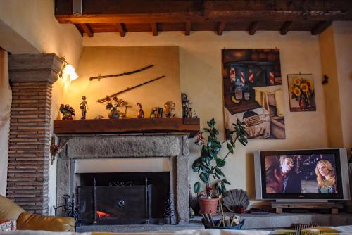 a living room with a fireplace and a tv at Villa Farfalla Bianca in Vitorchiano