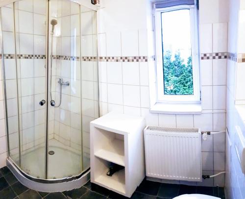 ein Bad mit einer Dusche, einem Waschbecken und einem Fenster in der Unterkunft Ferienwohnung Dahlenwarsleben in Dahlenwarsleben