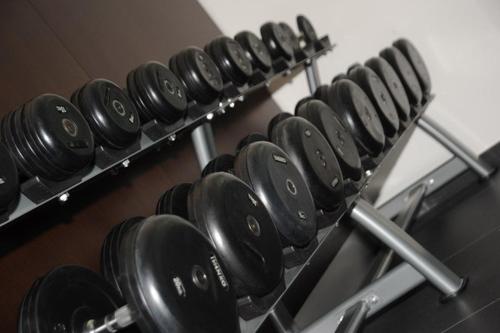 a row of black dumbbells on a rack at Hotel Rivarolo in Rivarolo Canavese