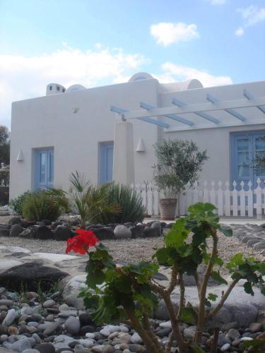 a white house with a fence and a red flower at Thera Incognita Studios in Perissa