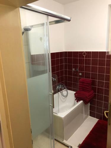 a bathroom with a shower and a bath tub with a red towel at Glückliche Elfen in Sankt Kathrein am Hauenstein