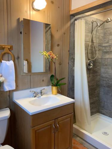 y baño con lavabo y ducha. en The Woods Hotel - Gay LGBTQ Cabins, en Guerneville