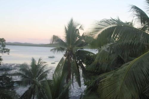 a view of a body of water with palm trees at West Atlantic Inn in Concepcion