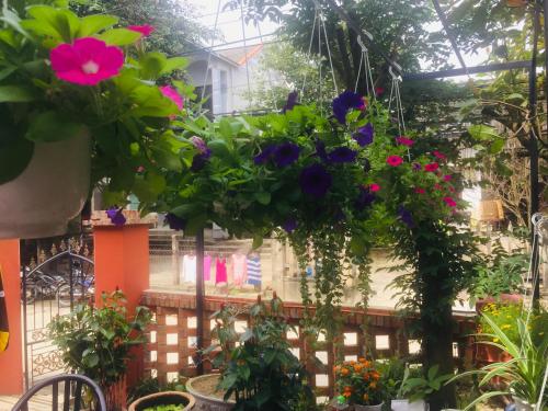 a garden with flowers hanging from a ceiling at New Destination Hoi An in Hoi An