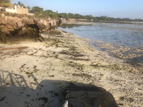 a beach with a rocky shoreline and the water at Almasi Beach Apartment - Freshly Renovated in Mombasa