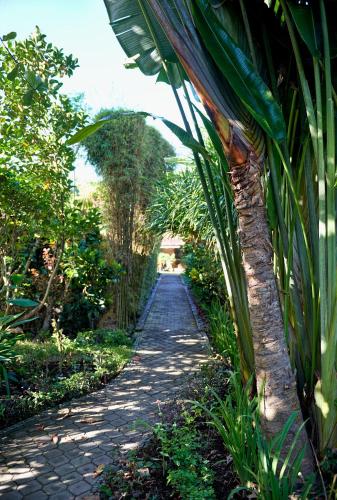 a garden path with a palm tree on the side at Jasri Bay Hideaway in Jasri