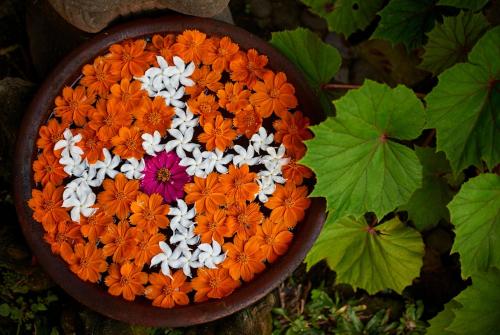 a flower bowl filled with orange and white flowers at Jasri Bay Hideaway in Jasri